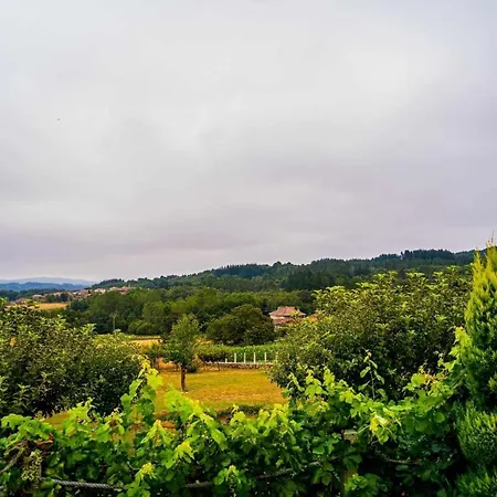 Apartmán O Fogon Casa Ferrador Ribeira Sacra
