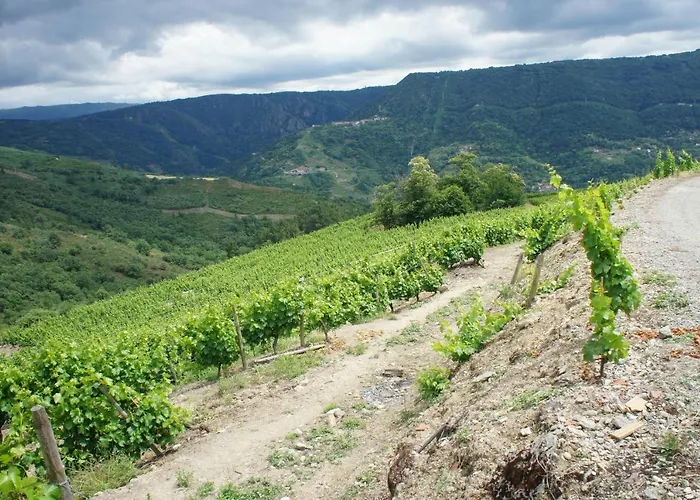 Διαμέρισμα O Fogon Casa Ferrador Ribeira Sacra *