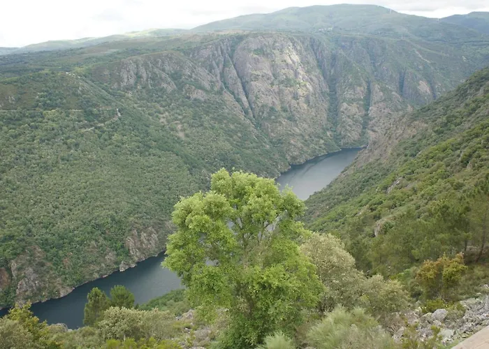 O Fogon Casa Ferrador Ribeira Sacra Διαμέρισμα *